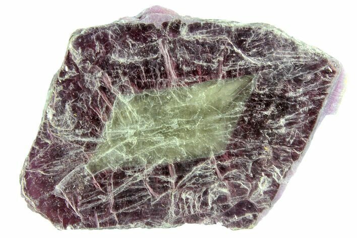 Bicolored Lepidolite Formation - Brazil #150354